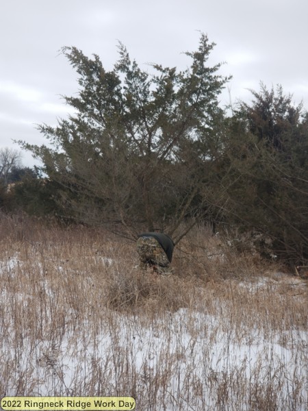 20220127_103719[1].jpg