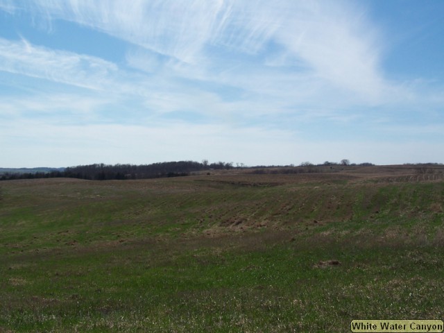 100_0110.JPG