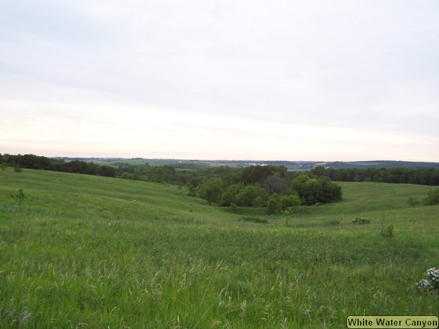 100_0218.JPG