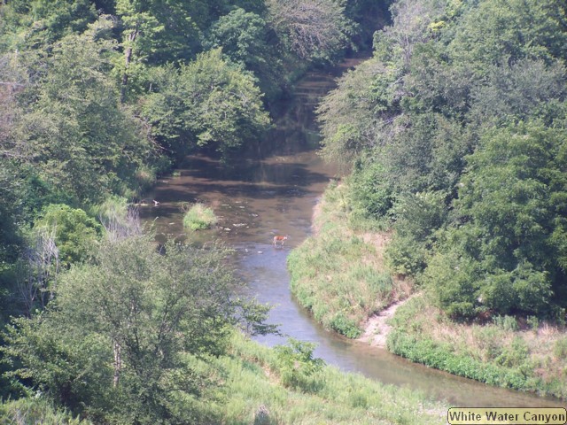 100_0337.JPG