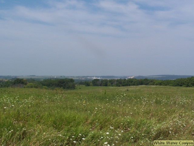 100_0340.JPG