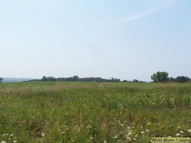 100_0343.JPG
