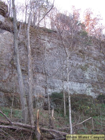 100_0558.JPG